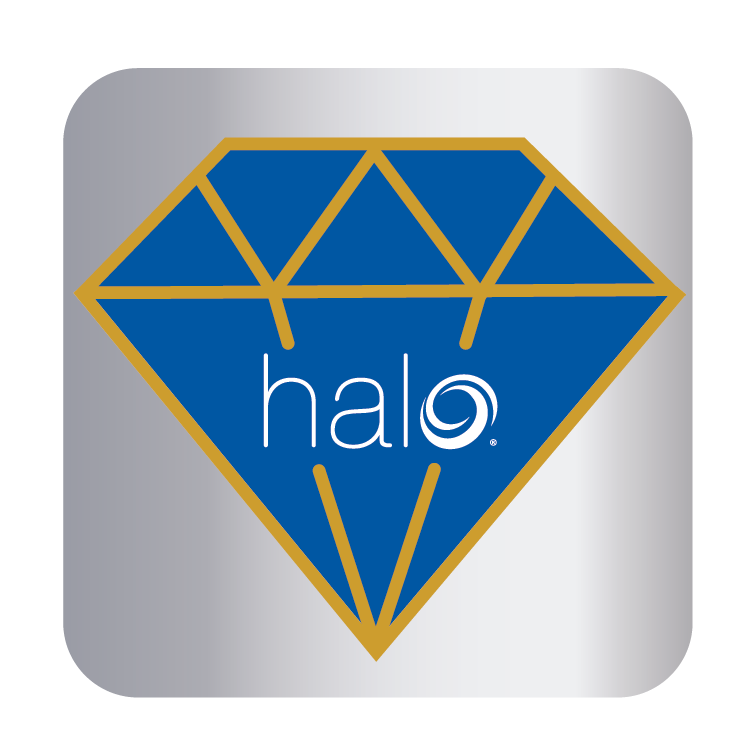 Halo Distinguished Partner Icon